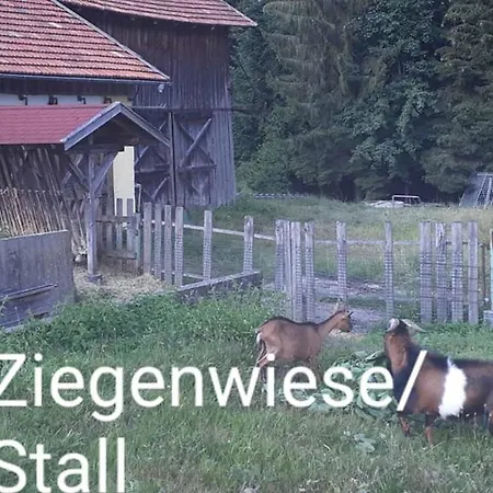Landgasthof Vogl - Zum Klement אורחן *